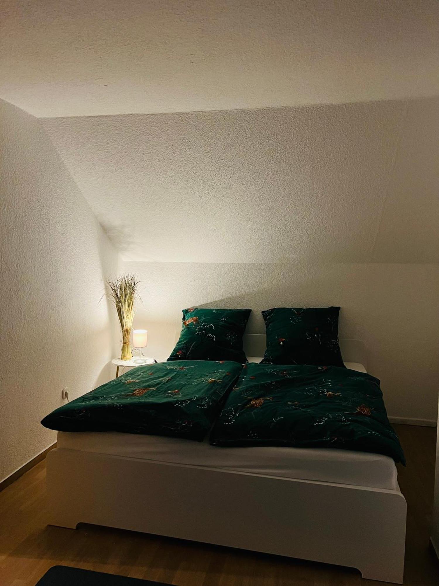 Ferienwohnung Nannerl バート・ザクサ エクステリア 写真